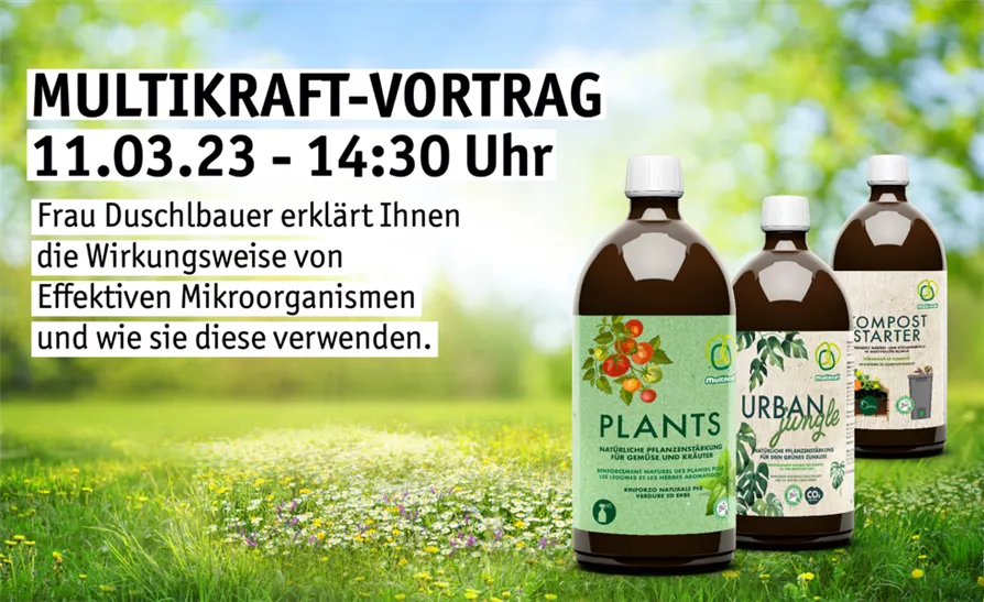 Multikraft Vortrag Fürth 