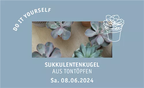 Workshop 08.06.2024 - 10:00 