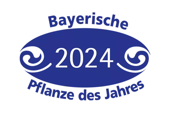 pdj_2024_logo_ei_blau2.png