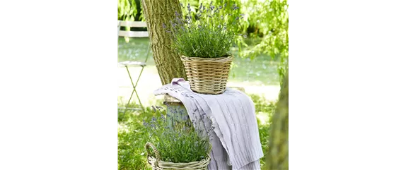 WILDER BAUERNGARTEN!