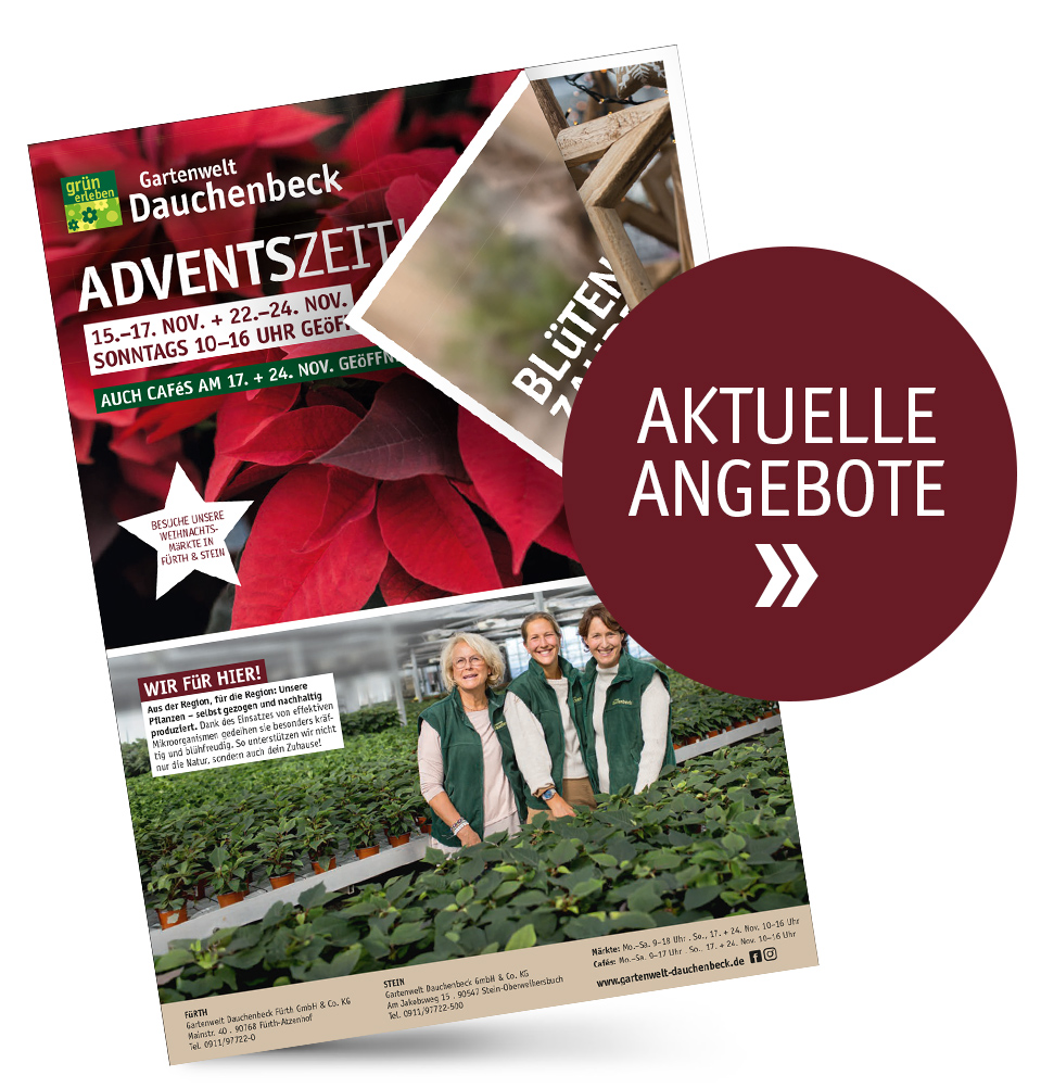 Abb_Beilage-Advent.jpg