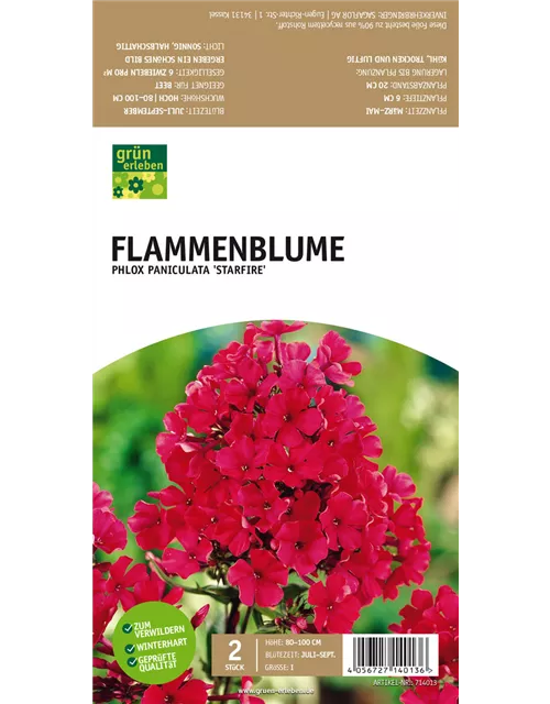 Flammenblume