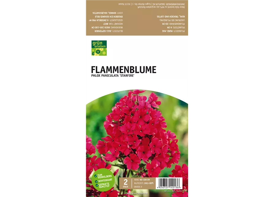 Flammenblume