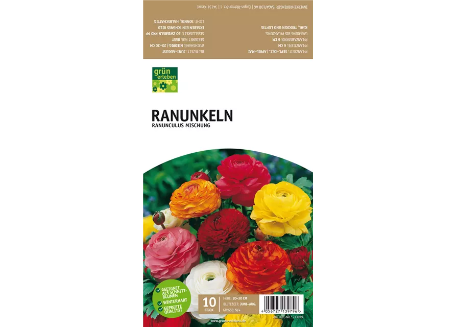 Ranunkeln