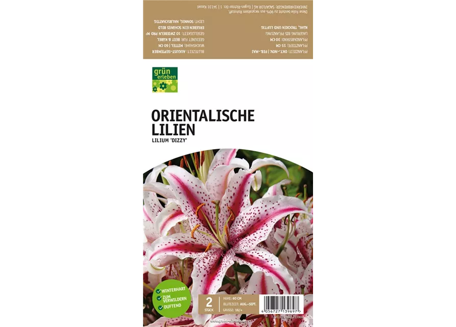 Orientalische Lilien