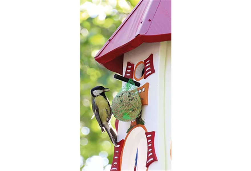 Dauchenbeck-Vogelvillen-rechts.jpg