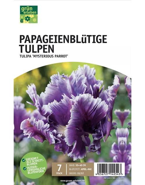 Papageien-Tulpen