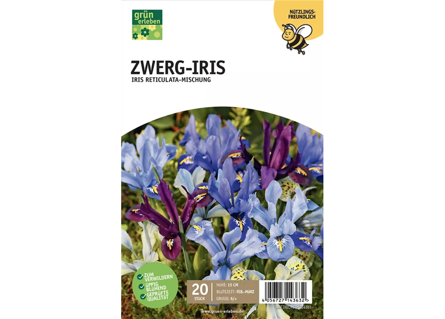 Zwerg Iris 